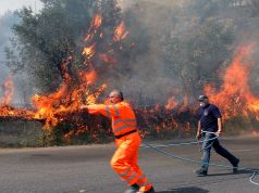 Wildfires rage in south of Italy amid record heatwave