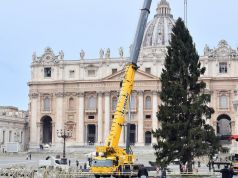 Vatican Christmas tree arrives in St Peter's Square