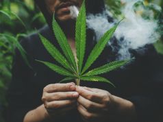 Italy steps closer to referendums on cannabis and euthanasia