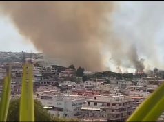 Rome battles wildfire in Parco del Pineto