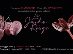 Le Jardin Rouge