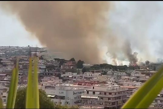 Rome battles wildfire in Parco del Pineto