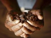 Fair Trade Chocolate at AUR
