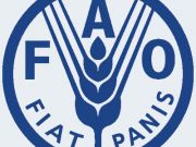 FAO launches new system to measure food insecurity