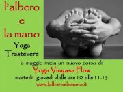 Vinyasa flow yoga.