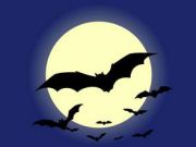 Bat Night in Rome