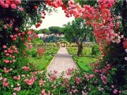 Rome's rose garden: 2019 dates
