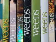 Lot of DVDs - TV Series WEEDS