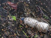 Rome: success for plastic-catcher on river Tiber