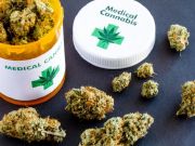Medical cannabis is now free in Sicily