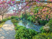 Rome's Botanic Garden: a semi-forgotten wonder
