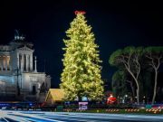 Rome seeks sponsor for Christmas tree