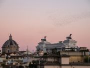 Rome's starlings: kinetic artists or urban pests?