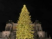 Rome to light up Christmas tree on Festa dell'Immacolata