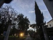 Rome park closed as starlings move in after New Year fireworks massacre