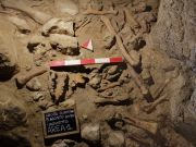 Neanderthal remains discovered in cave south of Rome