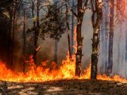 Sardinia wildfires force hundreds of evacuations