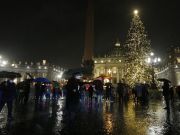 Vatican lights up Christmas tree in St Peter's Square