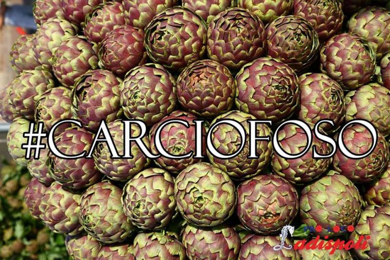 Artichoke festival in Ladispoli Wanted in Rome