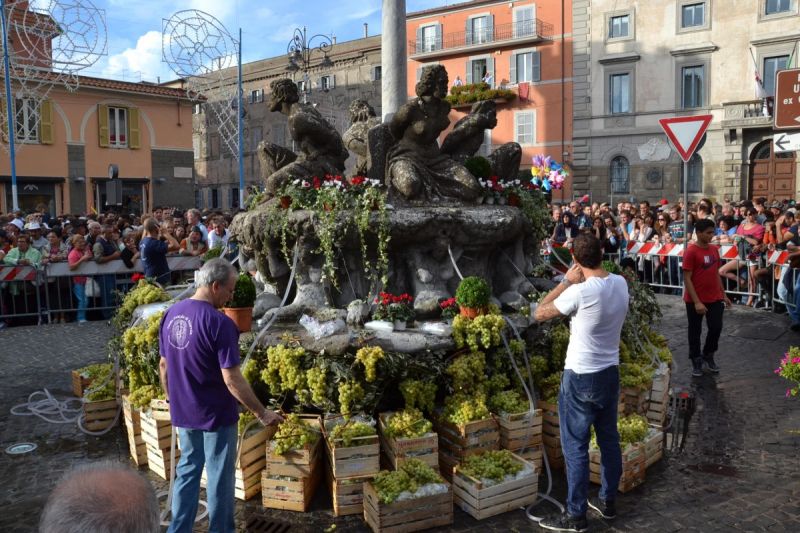 Marino wine festival near Rome Wanted in Rome
