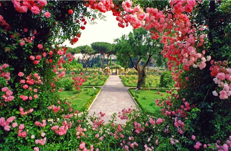 ÎÏÎ¿ÏÎ­Î»ÎµÏÎ¼Î± ÎµÎ¹ÎºÏÎ½Î±Ï Î³Î¹Î± rose garden rome