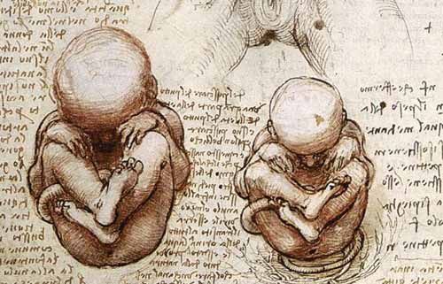 Agrarisch menigte natuurpark Leonardo da Vinci, a baby genius - Wanted in Rome