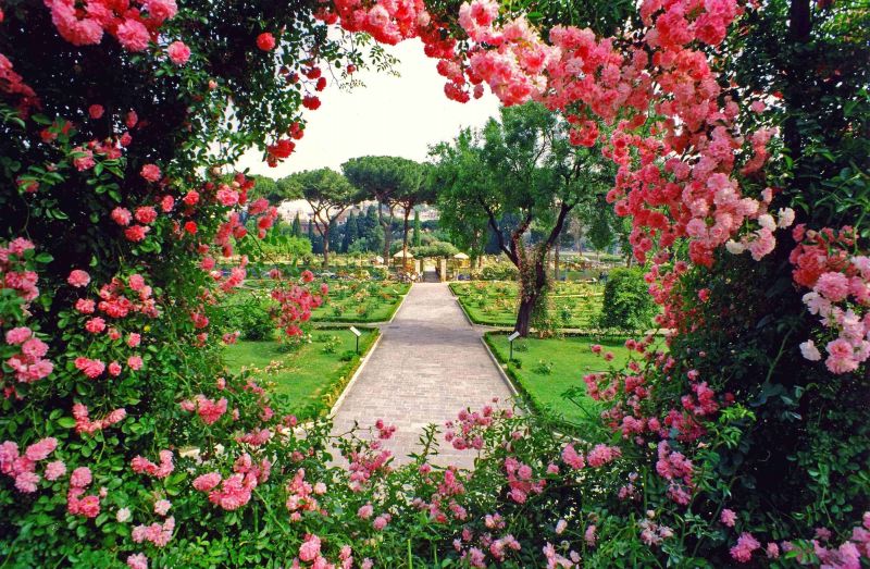 The story of Rome's rose garden - Wanted in Rome