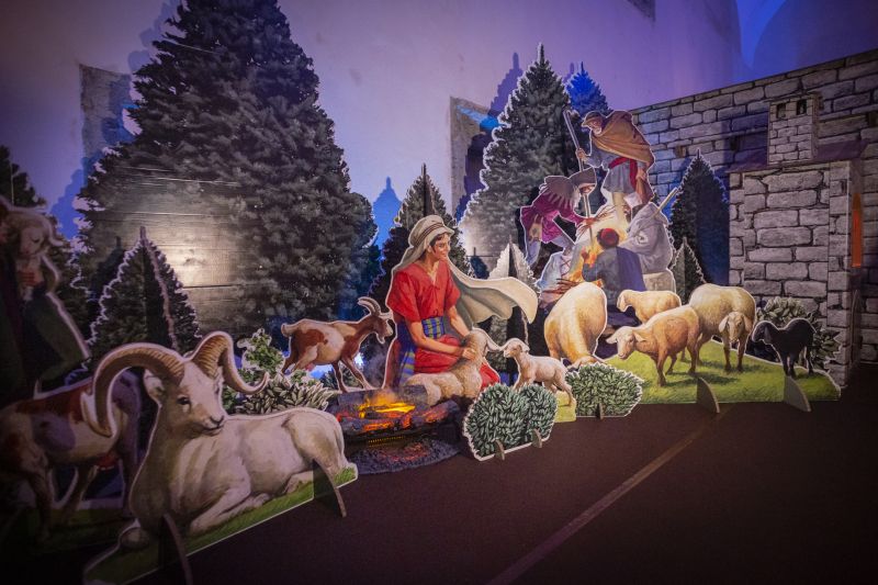 World S Largest Cardboard Crib In Rome Wanted In Rome