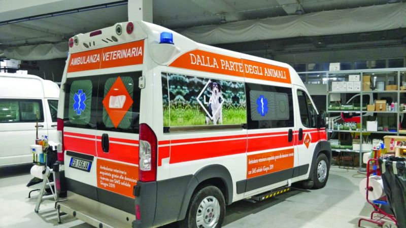 Rome's veterinary ambulance essential as covid numbers rise