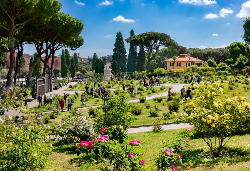 Rome reopens rose garden on city&#39;s 2,774th birthday - Wanted in Rome