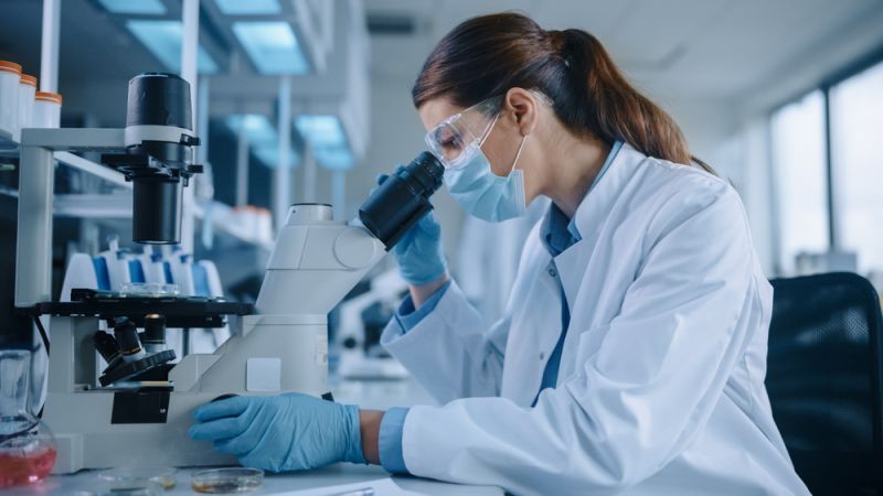 italy detects first case of monkeypox - wanted in rome