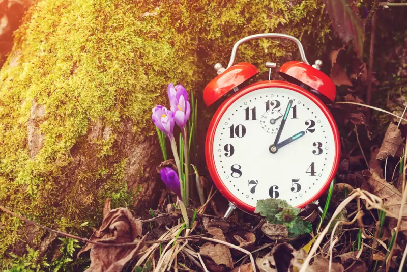 Clocks go forward as summer time begins this Sunday 26 March