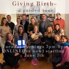 Giving Birth ~ A Guided Tour