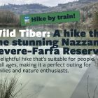 Wild Tiber Experience (Hike by train)