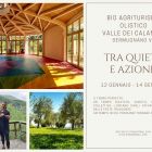 2024 Yoga reboot weekend;  between stillness and action