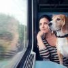 Dogs travel free on Italy's long-distance trains this summer