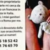 French tourists offer €500 reward for teddy bear lost in Rome