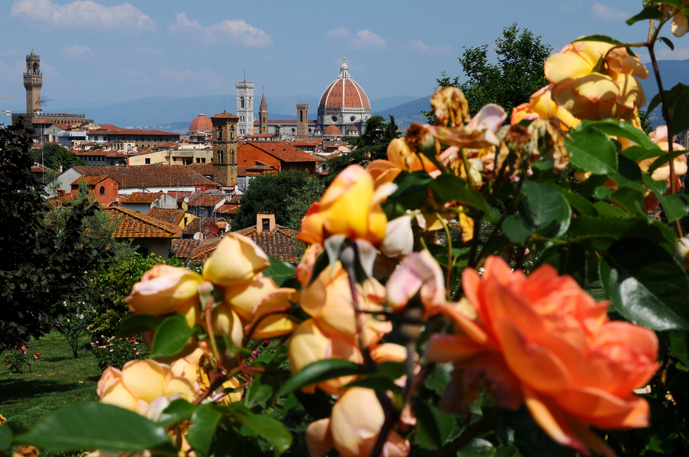 The Rose Garden in Florence
